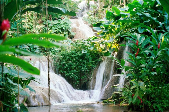 Day Trip to Bob Marleys Nine Mile and Dunns River Falls From Falmouth - Health and Safety Considerations