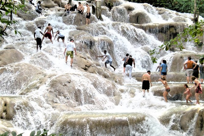 Day Trip to Bob Marleys Nine Mile and Dunns River Falls From Falmouth - Traveler Reviews and Ratings
