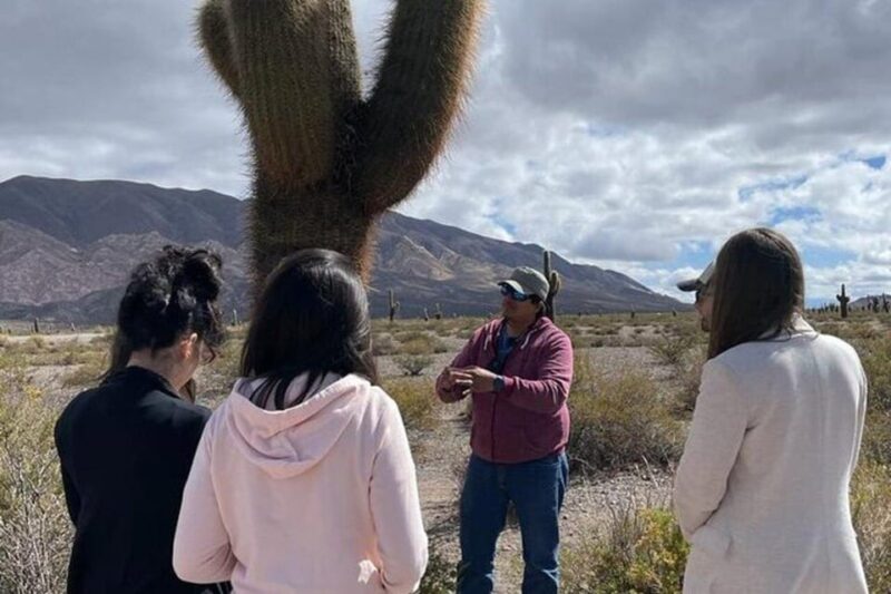 Day Trip to Cachi From Salta - Transportation and Pickup