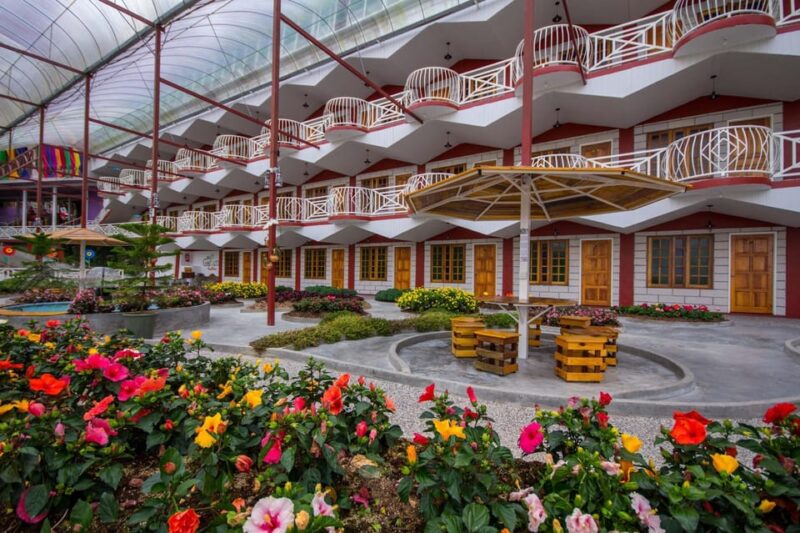 Day Trip to Cameron Highlands - Booking and Availability