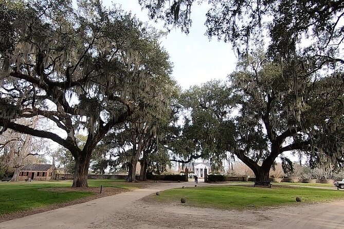 Day Trip to Charleston Tour #5: Bus Tour, Boone Plantation, Lunch and More - Boone Hall Plantation