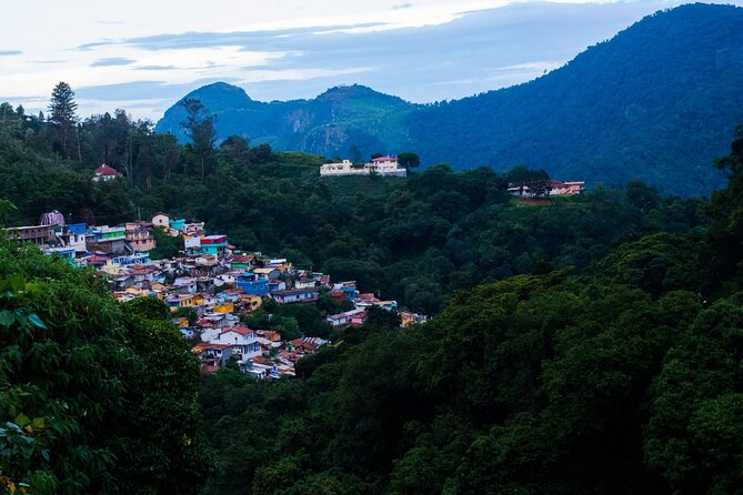 Day Trip to Coonoor (Guided Sightseeing Tour by Car From Ooty) - Highlights of the Excursion