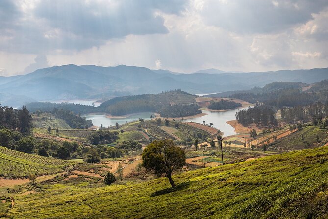 Day Trip to Coonoor (Guided Sightseeing Tour by Car From Ooty) - Transportation and Inclusions