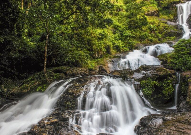 Day Trip to Coorg (Guided Tour by Car From Mysore) - Itinerary Highlights