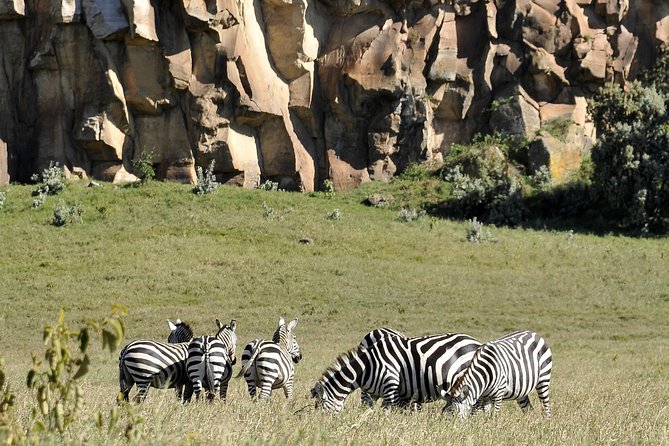 Day Trip To Crescent Island And Hells Gate National Park - Hells Gate National Park