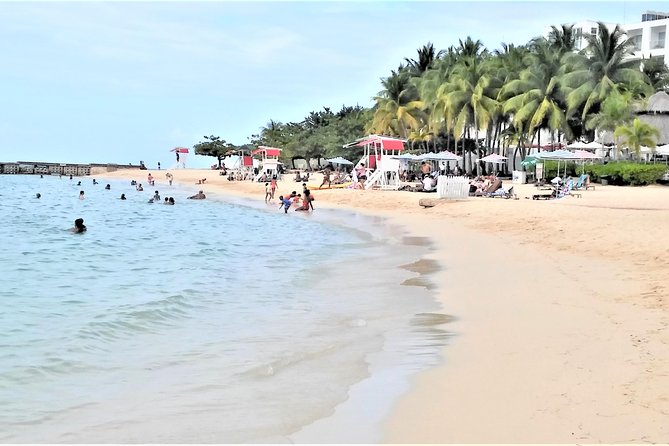 Day Trip to Doctors Cave Beach, Margaritaville and Hip-Strip Shopping From Falmouth - Tour Highlights