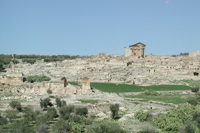 DAY TRIP TO Dougga & Bulla Regia , DEPARTURE FROM Tunis - Included Amenities and Services