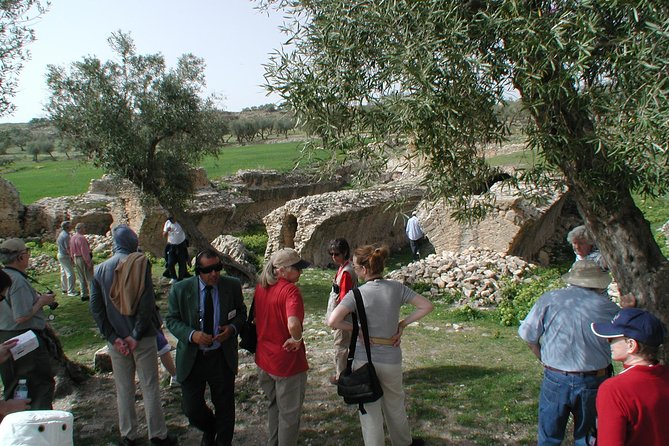 DAY TRIP TO Dougga & Bulla Regia , DEPARTURE FROM Tunis - Tour Experience and Feedback