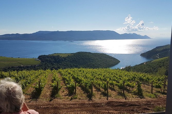 Day Trip to Dubrovnik From Split - Personalized Experience With a Dedicated Guide