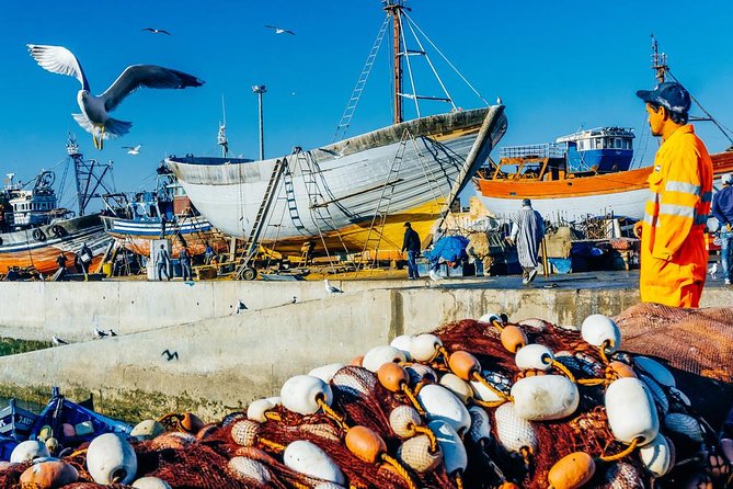 Day Trip to Essaouira City From Marrakech: Private - Transportation Comfort and Pickup Options
