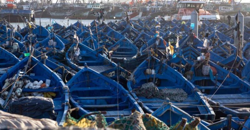 Day Trip To Essaouira From Marrakech - Scenic Route and Stops