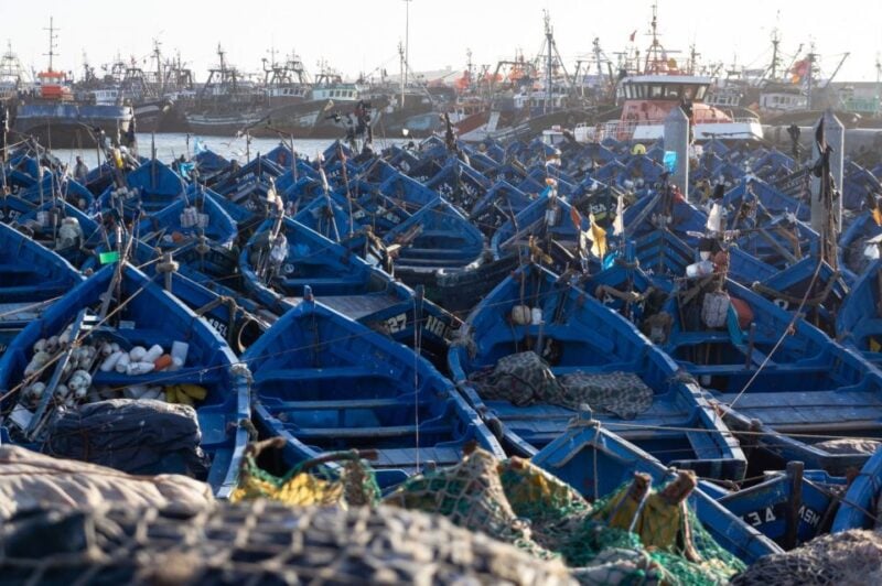Day Trip To Essaouira From Marrakech - Frequently Asked Questions