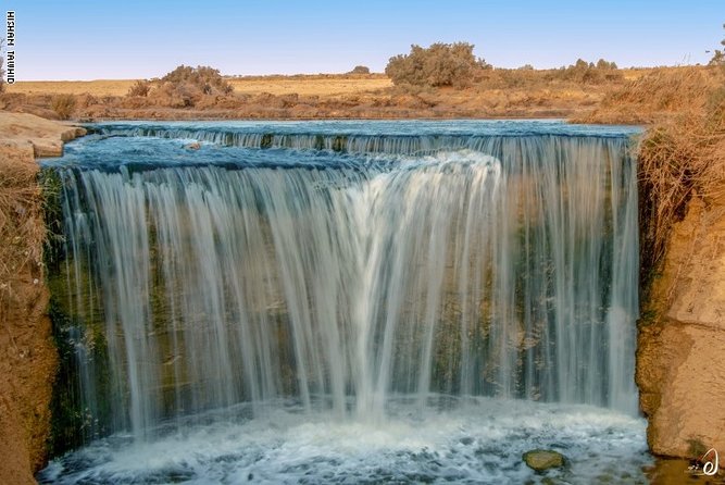 Day Trip to Fayoum From Cairo With Lunch - Recommendations for Improvement
