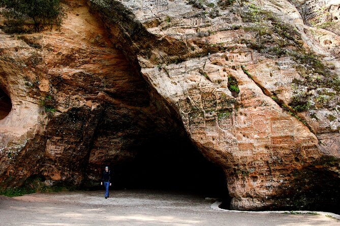 Day Trip to Gauja National Park: Animals, Castles and a Cave - Wildlife Spotting Opportunities