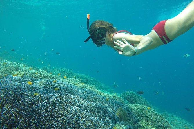 Day Trip to Gili Trawangan, Gili Meno, and Gili Air (Depart From Lombok) - Snorkeling and Underwater Statues