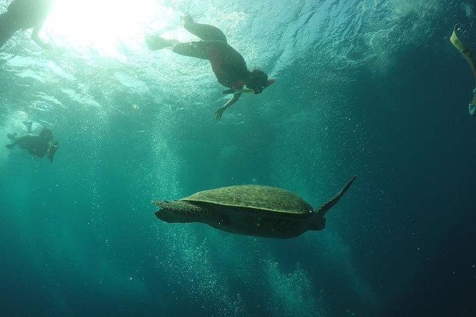 Day Trip to Gili Trawangan, Gili Meno, and Gili Air (Depart From Lombok) - Relaxing on the Beaches