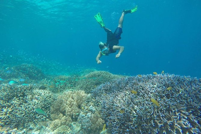 Day Trip to Gili Trawangan, Gili Meno, and Gili Air (Depart From Lombok) - Included Amenities and Services