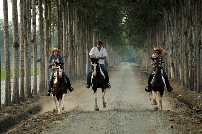 Day Trip to Hacienda La Danesa With Horseback Riding and Lunch - Key Points