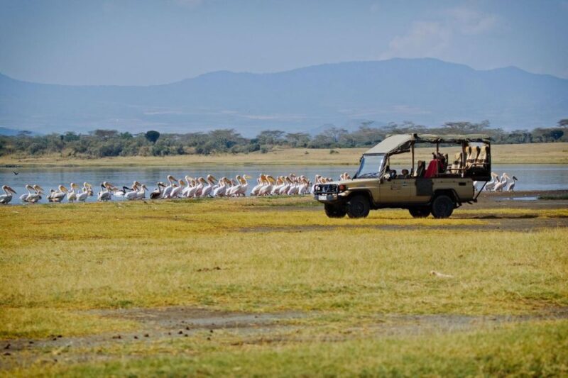Day Trip to Hells Gate and Lake Naivasha - Accessibility and Restrictions