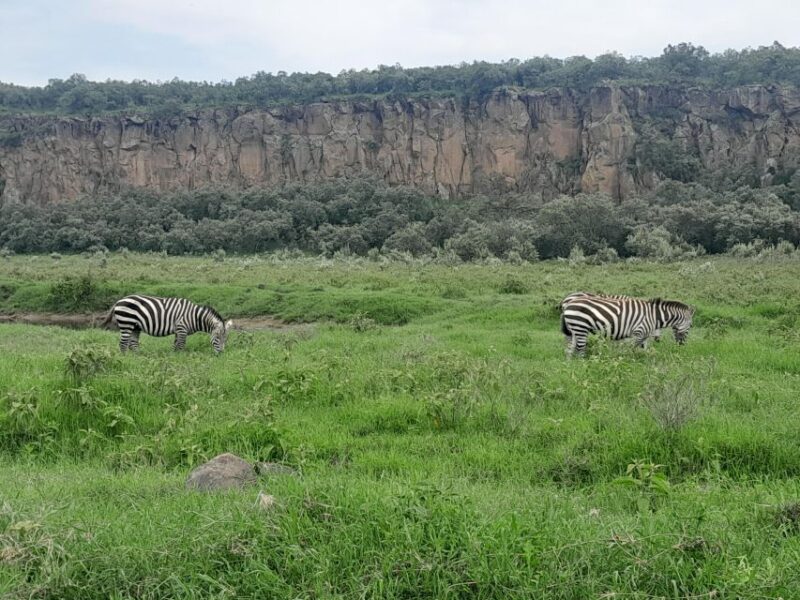 Day Trip to Hells Gate and Lake Naivasha - Customer Reviews