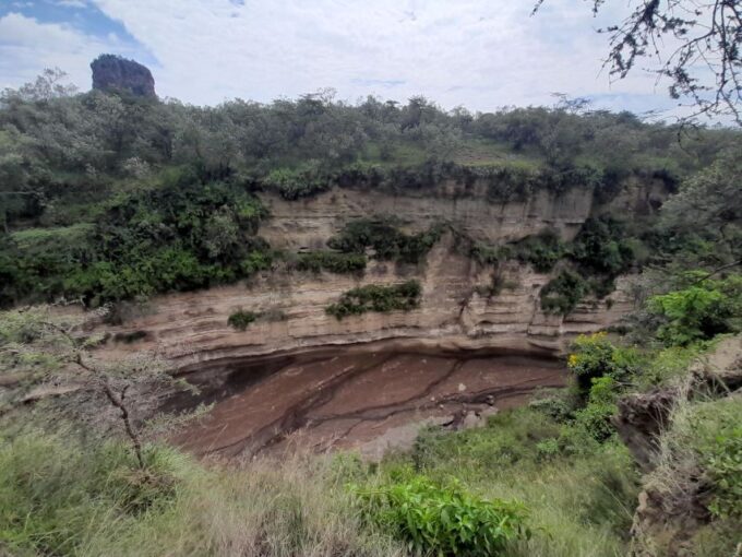 Day Trip to Hells Gate and Lake Naivasha - Wildlife Viewing and Activities