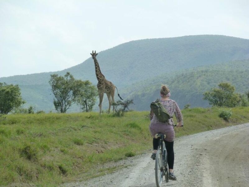 Day Trip to Hells Gate Park and Optional Lake Naivasha - Destination and Pricing