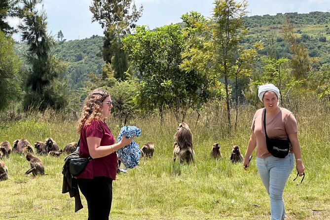 Day Trip to Historical Monastery,Stunning Nature,Animals,Birds - Key Points