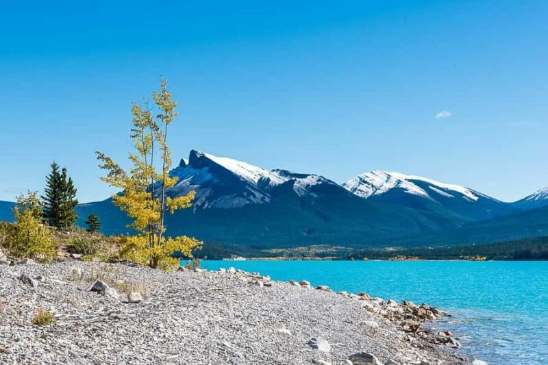Day Trip to Jasper + Banff with picnic and drinks - Who Will Love This Tour?