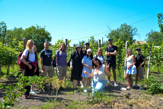 Day Trip to Kakheti Wine Region Including Seven Wine Tastings - Lunch at a Traditional Restaurant