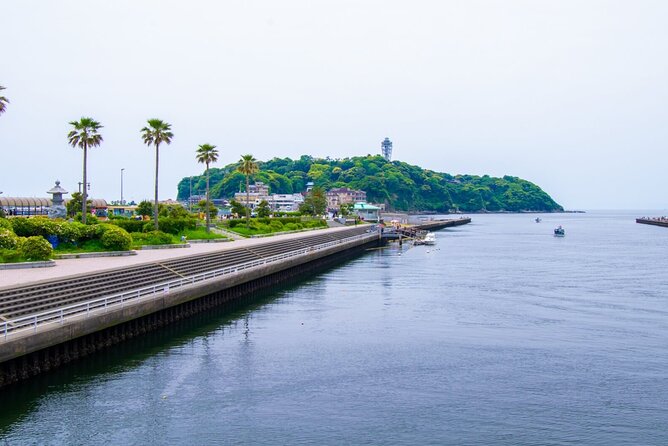 Day Trip to Kamakura & Enoshima: Shrines, Seaside, Temples & Tea - Experiencing the Captivating Koi Feeding Ritual