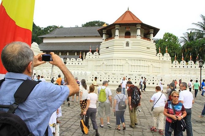 Day Trip to Kandy With Kingfisher Tours - Pickup Information
