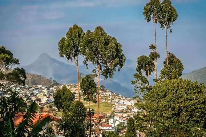 Day Trip to Kodaikanal (Guided Sightseeing Tour by Car From Madurai) - Key Points