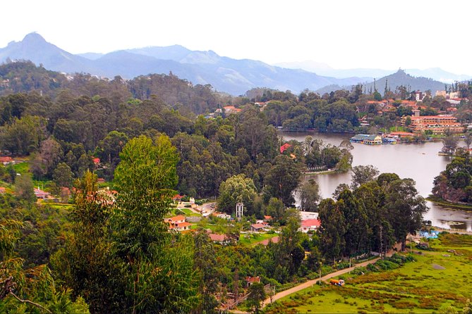Day Trip to Kodaikanal (Guided Sightseeing Tour by Car From Madurai) - Guide and Language