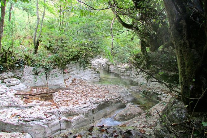 Day Trip to Kutaisi-Prometheus Cave,Martvili Canyon From Tbilisi - Discovering Martvili Canyons Wonders