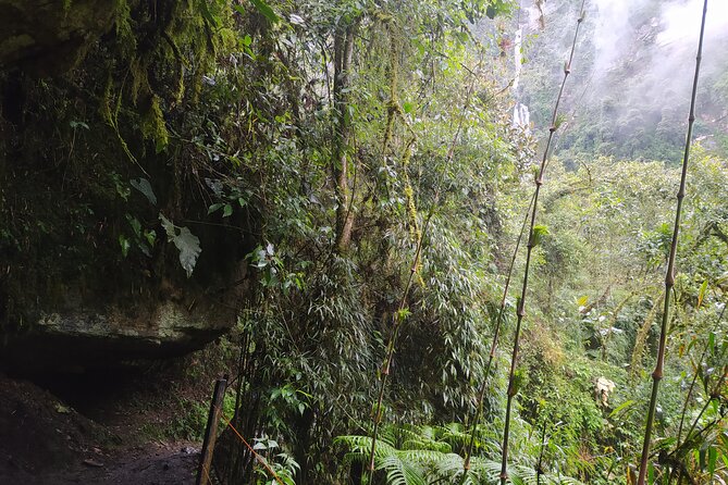 Day Trip to La Chorrera Park—Hiking Experience to Highest Waterfall in Colombia - Key Points