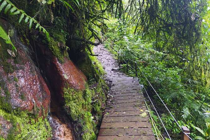 Day Trip to La Chorrera Park—Hiking Experience to Highest Waterfall in Colombia - Getting to La Chorrera Park