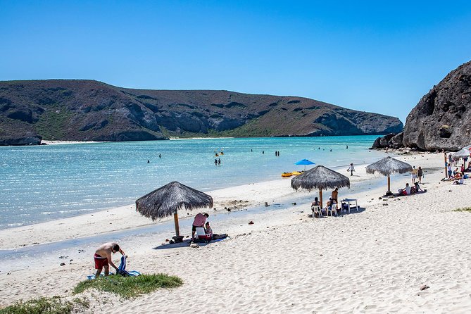 Day Trip to La Paz & Balandra Beach From Cabo San Lucas - La Paz Historical Center