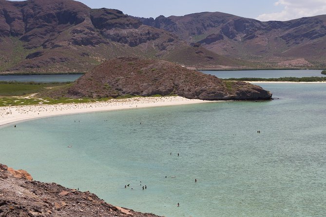 Day Trip to La Paz & Balandra Beach From Cabo San Lucas - Balandra Beach Experience