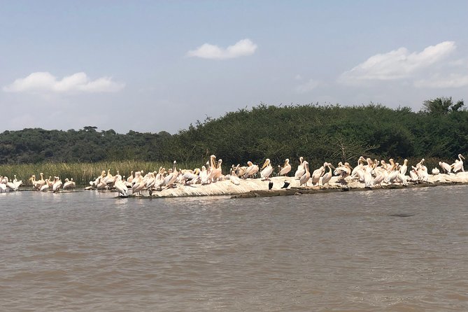 Day Trip To Lake Ziway - Boat Journey to Gelila Island