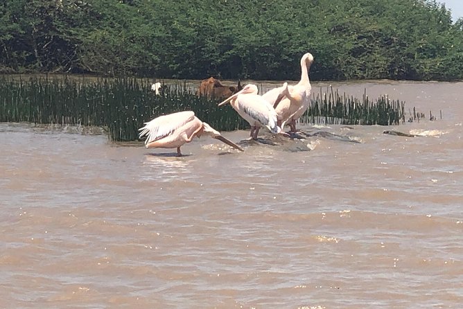 Day Trip To Lake Ziway - Cultural Exploration and Experiences