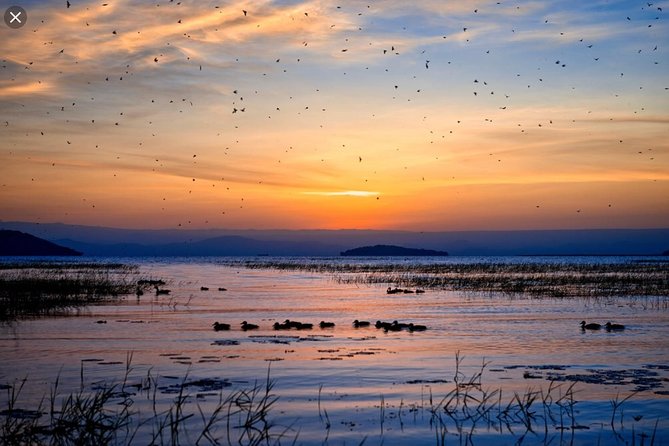 Day Trip To Lake Ziway - Additional Important Information
