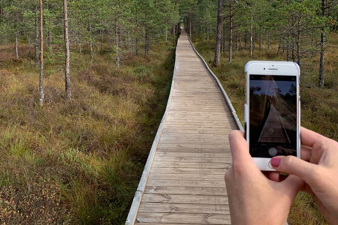 Day Trip to Land of Bays, the Romantic North-Coast From Tallinn - Exploring Lahemaa National Park