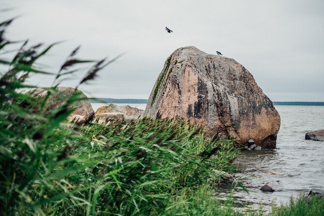 Day Trip to Land of Bays, the Romantic North-Coast From Tallinn - Positive Customer Experiences