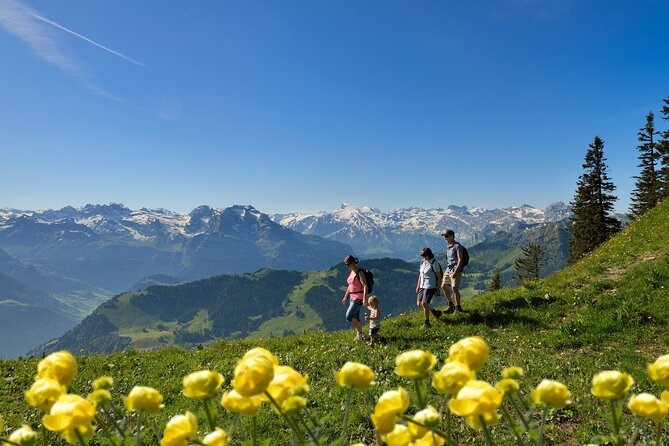 Day Trip to Lucerne and Mount Stanserhorn Including CabriO Cable Car Ride - Summit Hike and Marmot Park