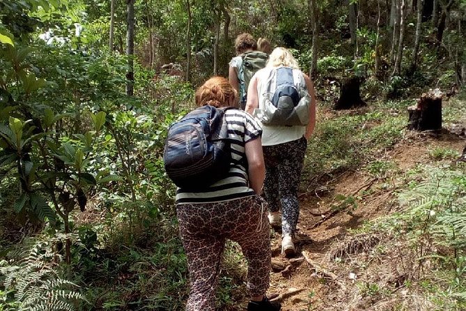 Day Trip To Lupanga Peak - What to Bring