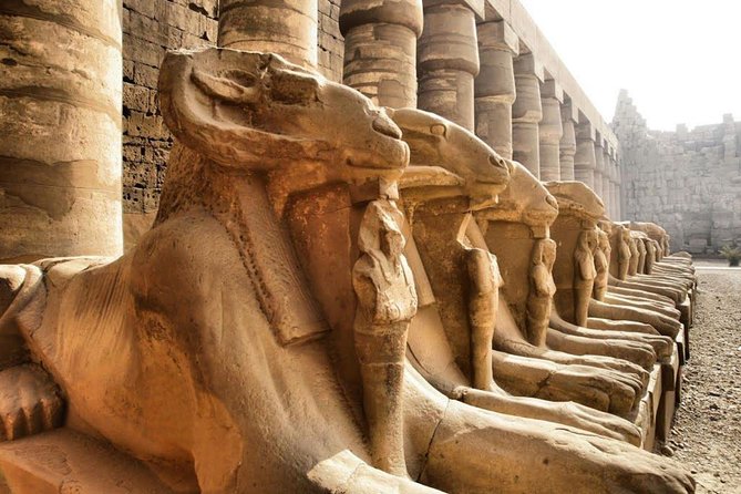 Day Trip To Luxor From Cairo By Plane - Accessibility and Suitability
