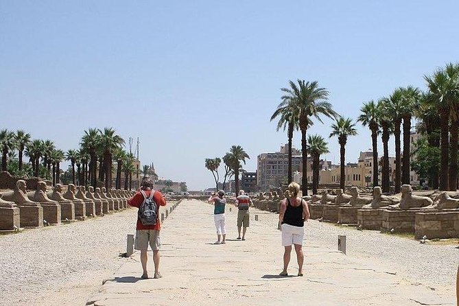 Day Trip to Luxor From Hurghada - Overview of the Day Trip
