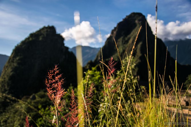Day Trip to Machu Picchu by Train - Inclusions