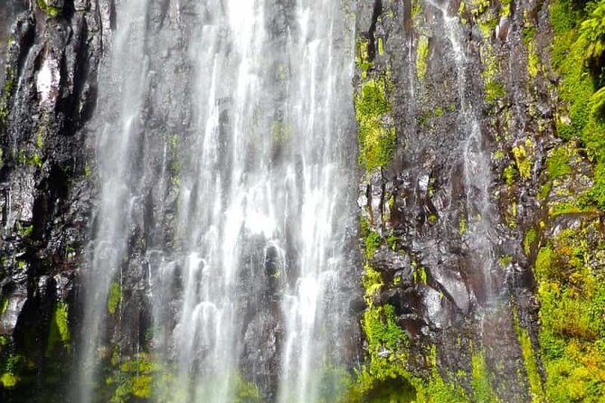 Day Trip to Materuni Waterfall, Coffee Tour and Moshi Nightlife - Inclusions and Exclusions