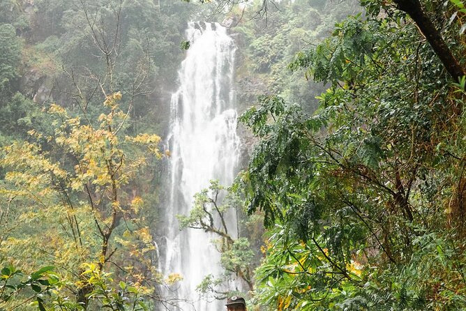Day Trip to Materuni Waterfall, Coffee Tour and Moshi Nightlife - Pickup and Start Time